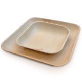 Disposable Plates