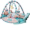 Tapiona Large Baby Play Mat Gym with Extra-Soft Mat, Piano, Cushion, 5 Activity Toys