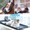 Multi-Cat Window Perch (Black)