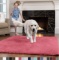 GORILLA GRIP Original Faux-Chinchilla Area Rug, 5x7 Feet, Soft and Cozy, Hot Pink $62.99 MSRP