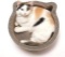 Necoichi Cat-Headed Scratcher Bed Birch Regular - $29.99 MSRP