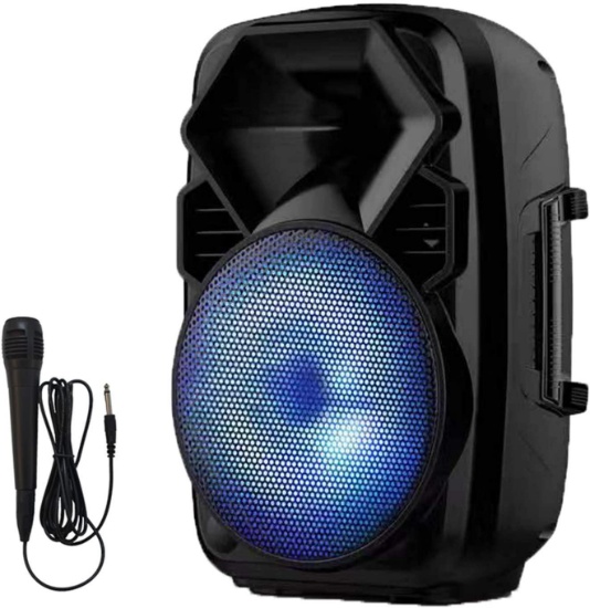 Earise V28 Bluetooth Speaker PA System with Wired Microphone