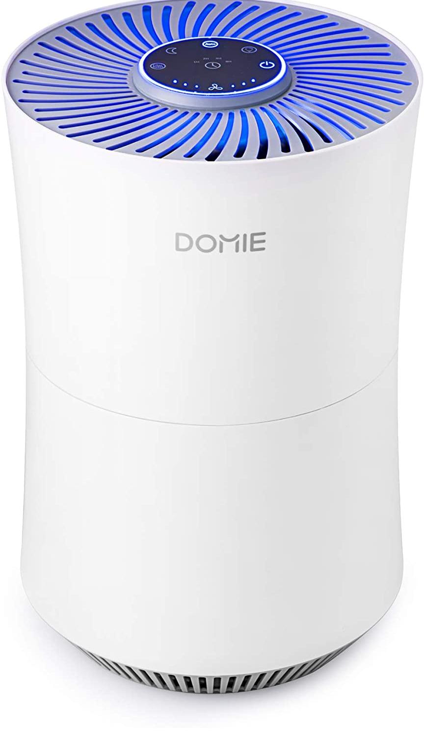DOMIE True HEPA Filter Air Purifier for Home and Proxibid