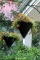 Gardener Cone Hanging Basket
