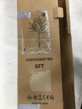 Lighted Birch Tree 6ft