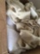 Bathroom Towel | Bed Comforter Set