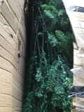 Artificial Christmas Tree