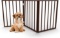 PETMAKER Foldable, Free-Standing Wooden Pet Gate- Light Weight, Indoor Barrier for Small $33.41 MSRP
