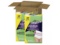 Always Discreet Incontinence & Postpartum Incontinence Underwear for Women - Maximum S/M - 64ct