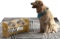 YEIRVE 8'' Tall Elevated Dog Bowls For Small And Medium Pets, 4 Adjustable Height- $28.88 MSRP