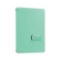 SwitchEasy Pelle iPad Air Folio Case Mint