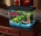 Koller Products PanaView 5-Gallon Aquarium Kit - Power Filter - LED Lighting with Multiple Colors