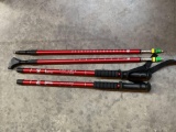 Trekking Hiking Pole Set