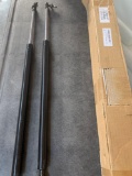 Tailgate Trunk Lift Support Struts Set of 2