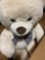 Teddy Bear Stuffed Toy