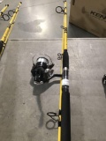 Fishing Rod and Spinning Reel