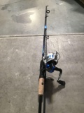 Fishing Rod