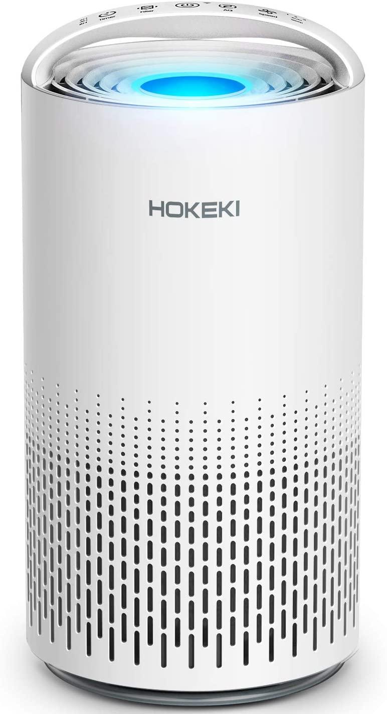 HOKEKI Air Purifier for Large Room with Air Proxibid