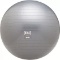 EVERLAST Exercise Ball 55cm, Gray