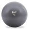 EVERLAST Exercise Ball 75 cm, Gray (5515473) - $29.99 MSRP