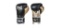 EVERLAST Powerlock Training Gloves 14 oz. $59.99 MSRP