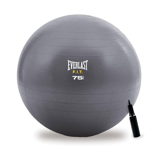 Everlast F.I.T 29.5" 75cm Inflatable Stability Yoga Ball Exercise Fitness w/Pump, $16.09