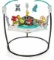 Fisher-Price FWY41 Baby Jumping Exerciser