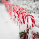 GIGALUMI Christmas Candy Cane Lights, 10 Pack Candy Cane Pathway Markers Outdoor - $35.99 MSRP