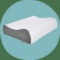 Sealy Memory Foam Pillow