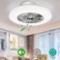 DLLT LED Remote Ceiling Fan with Light