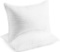 Pillow (Pack of 2)