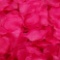 Magik 1000~5000 Pcs Silk Flower Rose Petals Wedding Party Pasty Tabel Decorations $6.99 MSRP