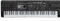 61 Key Keyboard Digital Piano, Portable Electronic Keyboard for Beginners, Electronic Piano Keyboard