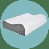 Sealy Memory Foam Pillow