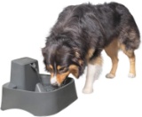 PetSafe Drinkwell 2 Gallon Pet Fountains, Best for Cats, Dogs and Multiple Pets $64.95 MSRP