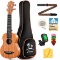 Donner Soprano Ukulele Beginner Kit Mahogany Professional 21 inch Ukelele (DUC-1 21) - $89.99 MSRP