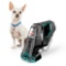 Bissell Pet Stain Eraser PowerBrush, 2837, $119.99