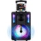 Karaoke Machine for Kids and Adults, DJ Lights 10'' Woofer BT Connectivity Rechargeable PA System