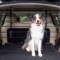 PetSafe Happy Ride Metal Dog Barrier, Fits Most Cars, Minivans and SUVs - $54.95 MSRP
