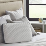 Sealy Molded Memory Foam Pillow, Standard, White, Grey (F01-00635-ST0) - $38.78 MSRP