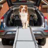 PetSafe Happy Ride Deluxe Telescoping Pet Ramp - Standard, Portable, Lightweight, Aluminum Dog