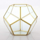 Banord Golden Tabletop Geometric Terrarium, 7.8 x 7.8 x 6.5 Inches Metal With Glass- $16.57 MSRP