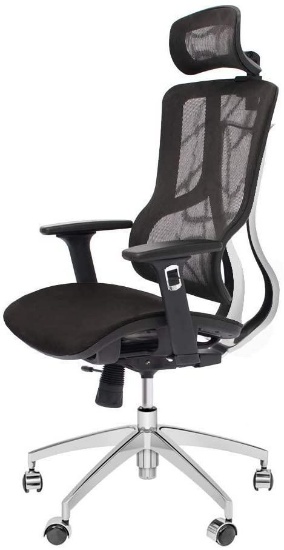 CangLong Executive Chair with 2D Adjustable Headrest, Ergonomic Office Chair, Black - $359.00 MSRP