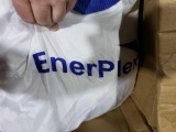 EnerPlex Air Mattress