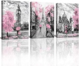 Black And White Canvas Wall Art For Living Room Bedroom Bathroom Girls Pink Paris Theme Room...