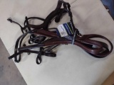 ExionPro Leather Bridle