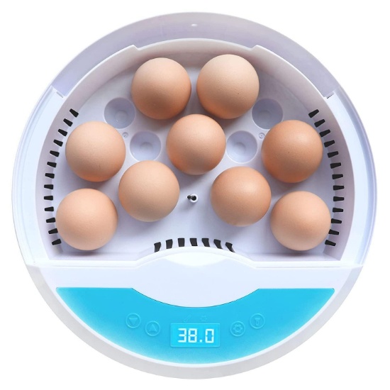 Wowok Digital Automatic Egg Incubator, 9 LED Luminous Egg Candle Tester and Temperature $52.99 MSRP