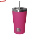 Wellness 20-oz. Double-Wall Stainless Steel Tumbler w/straw - Fuchsia - $7.99 MSRP