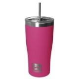 Wellness 20-Oz. Double-Wall Stainless Steel Tumbler With Straw, Fuchsia - $7.99 MSRP