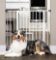 Carlson Pet Products 0930 PW DS Extra Wide Walk Through Pet Gate with Small Pet Door, 37